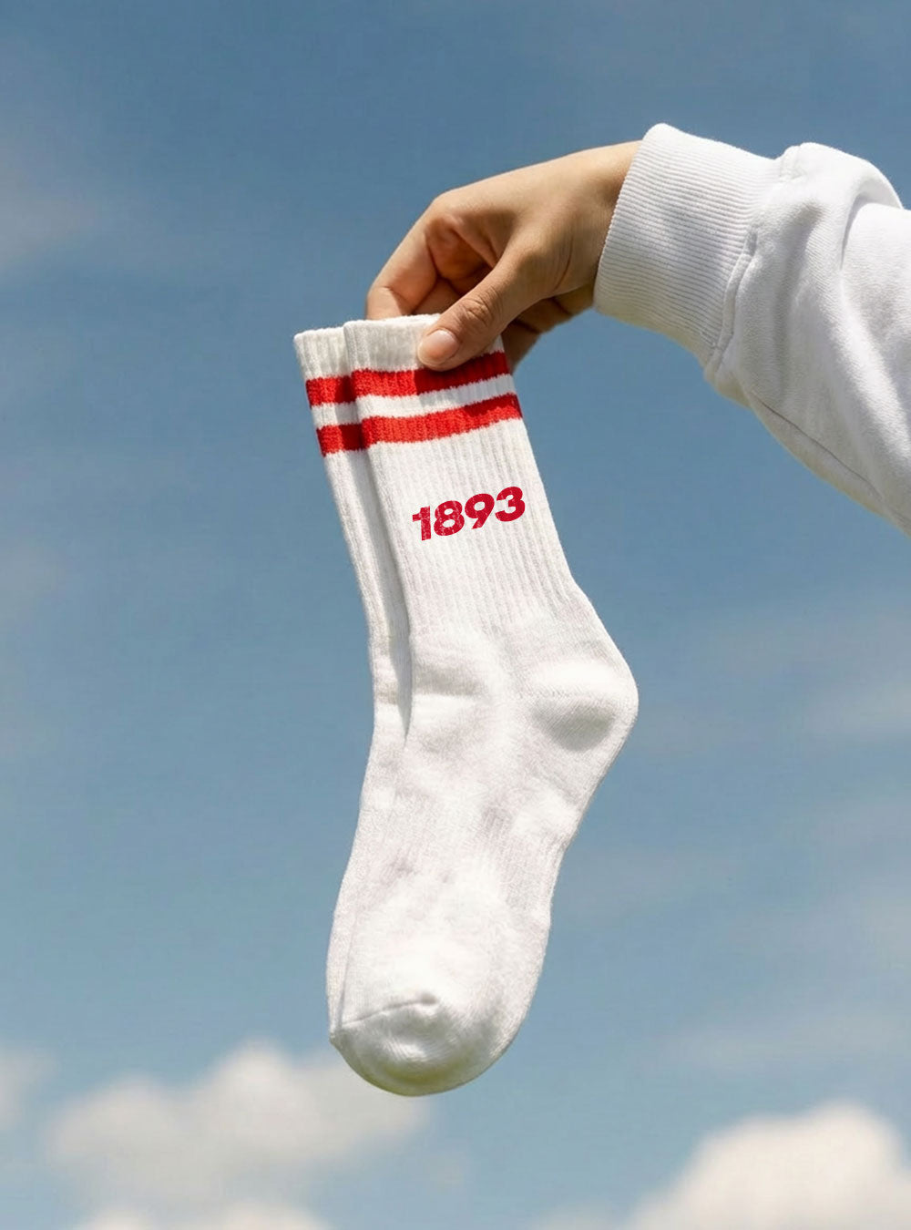 Stuttgart Socken '1893' rot