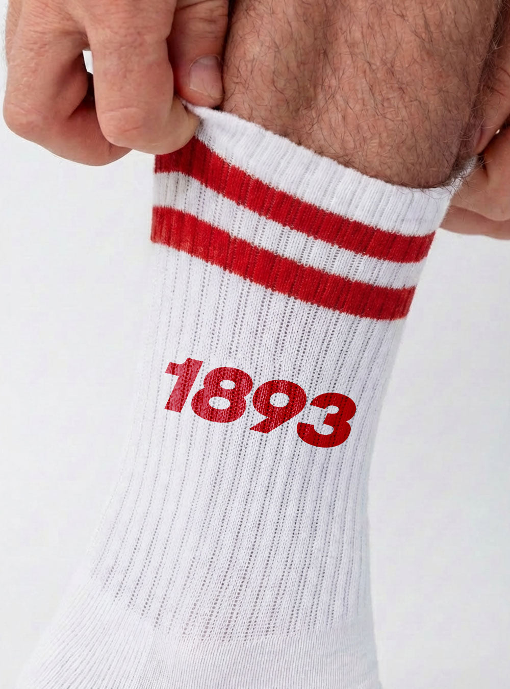 Stuttgart Socken '1893' rot
