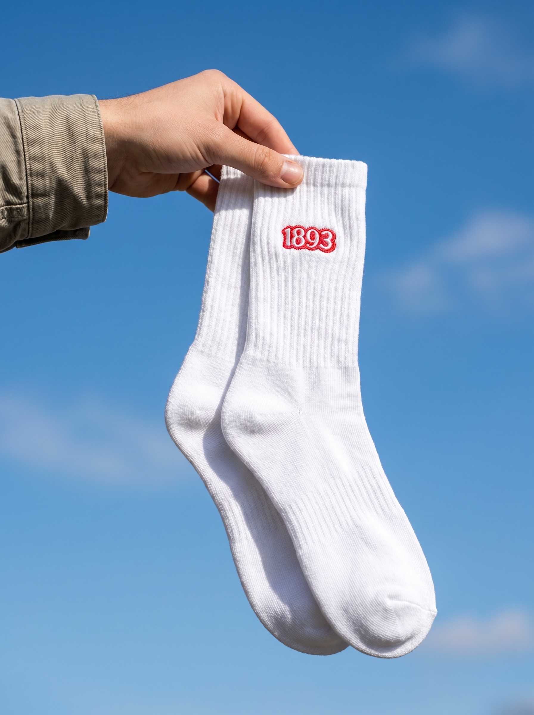 Stuttgart Socken - 1893